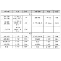 中原品种 牡丹古树 菏泽牡丹 菏泽市十样锦牡丹科技有限公司