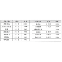 公爵夫人优选芍药 进口芍药品种 河北省蕾汇农业科技有限公司