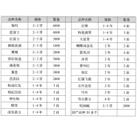 御前表演芍药品种 芍药鲜切花 菏泽三宝牡丹园艺有限公司