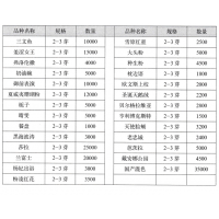 贝格拉维亚芍药 进口芍药 菏泽市牡丹区润月花卉合作社