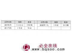 独杆牡丹 进口芍药 菏泽牡丹基地 菏泽市时创花卉园艺有限公司图1