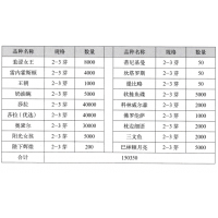 雷内霍斯顿芍药 菏泽芍药 菏泽洛珩牡丹销售有限公司 芍药苗