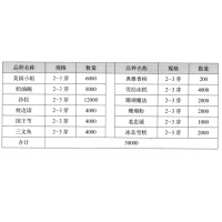 美国小姐芍药花 进口芍药苗 菏泽芍药 菏泽锦尚芍药种植公司