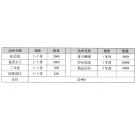 南希诺拉芍药 芍药鲜切花 菏泽市牡丹区福霖花卉家庭农场