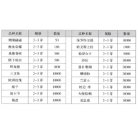 陛下权杖芍药  菏泽市忠贵芍药基地 进口芍药 芍药鲜切花