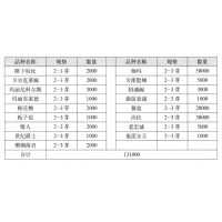 玛丽尼科尔斯芍药 进口芍药 菏泽盛园芍药基地 芍药鲜切花