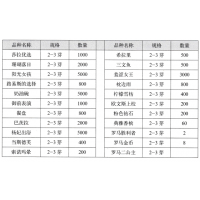 路易斯的选择 冷棚芍药 菏泽市民选芍药合作社 芍药鲜切花