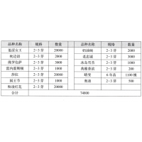 佛罗伦萨 芍药鲜切花 进口芍药 菏泽亮华牡丹销售有限公司
