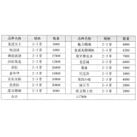 夏威夷珊瑚粉 芍药鲜切花 进口芍药 菏泽孙念文芍药牡丹