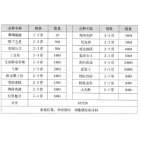 欧文斯上校芍药 进口芍药 芍药鲜切花 菏泽市润泽花木园艺中心