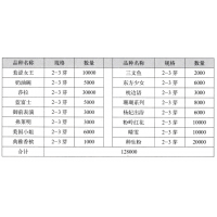 羞涩女王 芍药鲜切花 进口芍药 芍派（菏泽）园艺有限公司