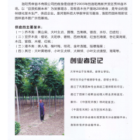 主营：黄山栾、大叶女贞、国槐、五角枫、