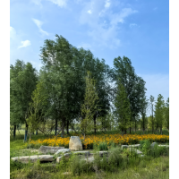 湖南苗木网|湖南苗木价格|湖南苗木求购信息|湖南苗木基地