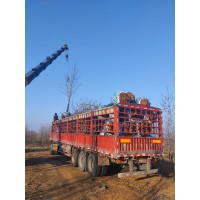 欧洲椴 价格电议 名字有种植有限公司 园林绿化树销售 精品苗木