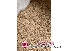 新洗山桃稠李种子，发芽率90左右，需要的朋友抓紧了 四合苗圃图1