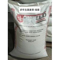 多年生黑麦草种子 绿玺/星火/绿盾种子 草种 道路公园绿化 风林