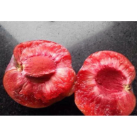 李子苗-吉丰-吉早黄-吉红-吉祥-胜源果树繁育基地-果树苗