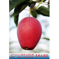 鸡心果小苗 吉林省四平市美尔园苗圃特别推出锦绣海棠（鸡心果）