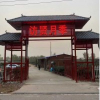 2至12公分高干树状月季，高干树状月季，畸形树状月季 南阳访贤月季有限公司