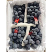 葡萄苗 蓝宝石葡萄苗 早熟/中熟/晚熟类葡萄苗 电议价格 子江葡萄专业育苗基地 葡萄苗大量