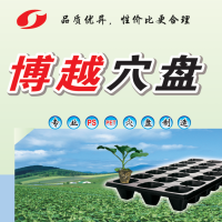 育苗穴盘批发价格- [育苗盘厂家] -可反复使用-电议价格-湖北博越工贸有限公司-厂家销售