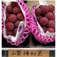 山梨悟红玉葡萄 上市时段适配性强 果肉饱满多汁 葡萄苗大量现货 电议价格 子江葡萄繁育基地