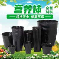 营养钵 销售多种苗容器规格全@营养钵定制@金妍塑业@河北营养钵 厂家定制现货装车 电议