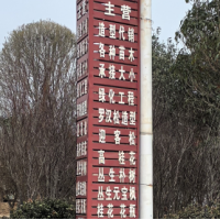 油松-黑松-造型松-景观树-鄢陵花木市场-鄢陵云楚园林