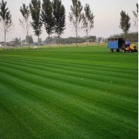 草坪施工-足球场施工-体育场地施工-秀江草坪工程有限公司