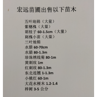 五叶地锦 爬山虎苗 东北地锦苗大量供应 园林绿化地被植物 电议价格 宏远苗圃 东北苗木