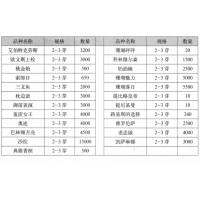 芍药 进口芍药 芍药鲜切花 销售艾伯特克劳斯2-3芽3200棵 电议价格 菏泽北王园林