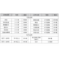 芍药 2-3芽沙拉 沙拉优选 进口芍药品种 菏泽芍药基地 电议价格 菏泽永欣花卉种植有限公司