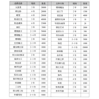 芍药 2-3芽精品芍药 欧文斯上校 柠檬雪纺 进口芍药 菏泽芍药基地 电议价格 志阔中药材种植中心