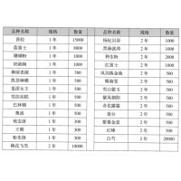芍药苗 1-2年生芍药 2-3芽系列进口芍药品种 雪纺冻糕 巴林顿 奥迪 枕边语 电议价格 百草源芍药