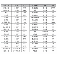 芍药 进口芍药 多色芍药品种选择 销售东京女郎2-3芽3500棵 电议价格 菏泽十月花卉种植基地