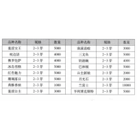 多色芍药 进口芍药 2-3芽原棵公主新娘 月光石 兰富士 亨利博克斯特 电议价格 菏泽艺达苗木
