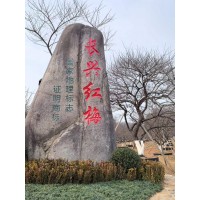长兴红梅 骨里红梅园林绿化耐旱耐寒庭院观赏苗木根茎健壮 丰溢苗木 庭院绿化高档树 电议价格
