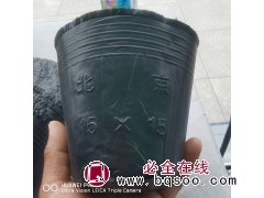 PE软塑材料环保耐腐蚀家用双色营养钵 加厚耐用 欢迎致电 营养钵 扦插育苗分苗大棚专用 电议价格 洋溢塑料图1