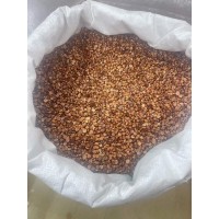 黄菖蒲种子现货 多年生宿根花草黄菖蒲种子水生黄花鸢尾耐湿阴道路河边绿化 电议 得嫚种业