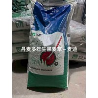 一年生黑麦草 丹麦多年生黑麦草 德国过年生黑麦草 各种档次黑麦草种子入库 电议价格 风林种业 边坡绿化