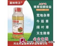 除草剂 精草铵膦铵盐 荒地杂草 牛筋草 阔叶草 灭生除草 除草效果好 电议价格 河北凤夏园林养护品图1