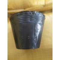 13*12，15*13营养钵，质量好，价格不便宜！ ​3孔6孔都有 玉田营养钵制品厂 电议大量现货供应