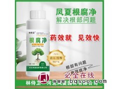 凤夏根腐净 解决根部问题 药效就 见效快 林侍卫 专门处理花木植物根部腐烂 电议价格 凤夏园林养护品图1