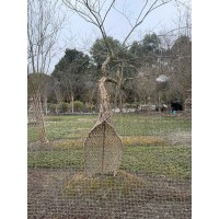 长期批发各种紫微编艺造型 紫薇造型定制 庭院绿化造型树 别墅绿化景观树 电议价格 翅鹏园林