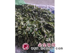 高油药用杜鹃 人工繁育驯化高油药用兴安杜鹃 兴安杜鹃容器杯苗、大地定植苗 支持视频看货图2